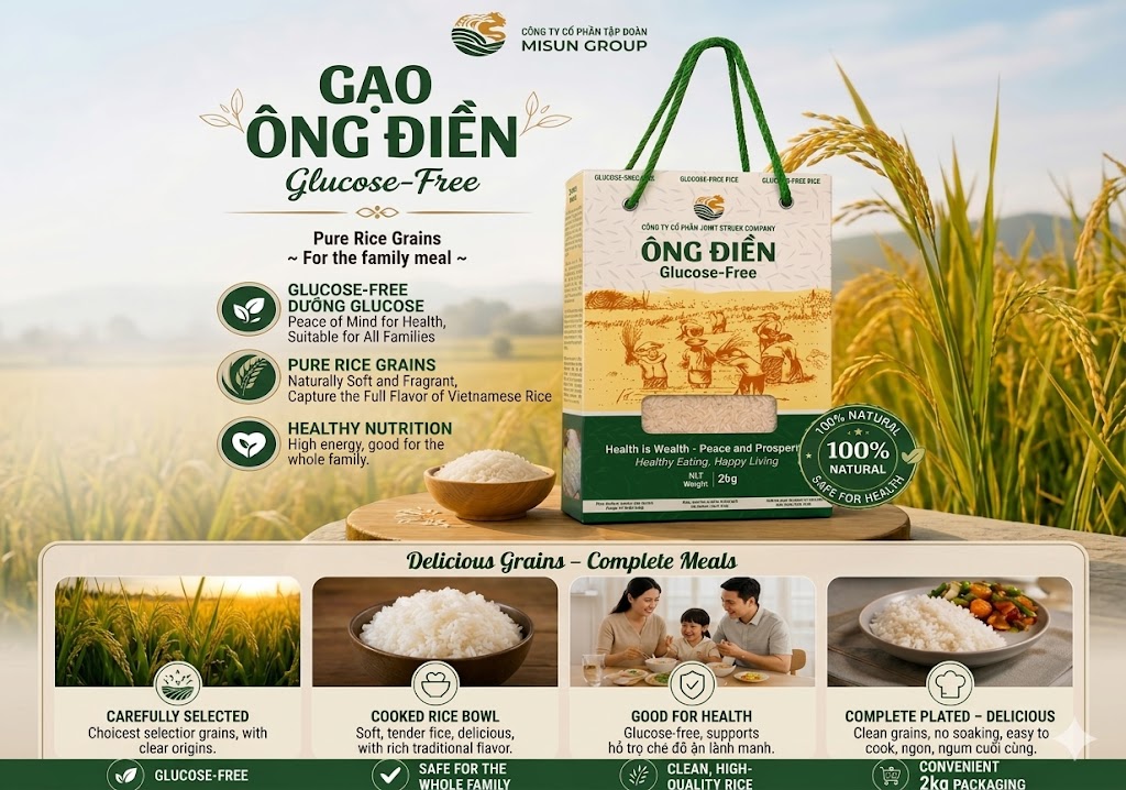 Gạo ST25 Lúa Tôm — Premium fragrant rice from Cà Mau